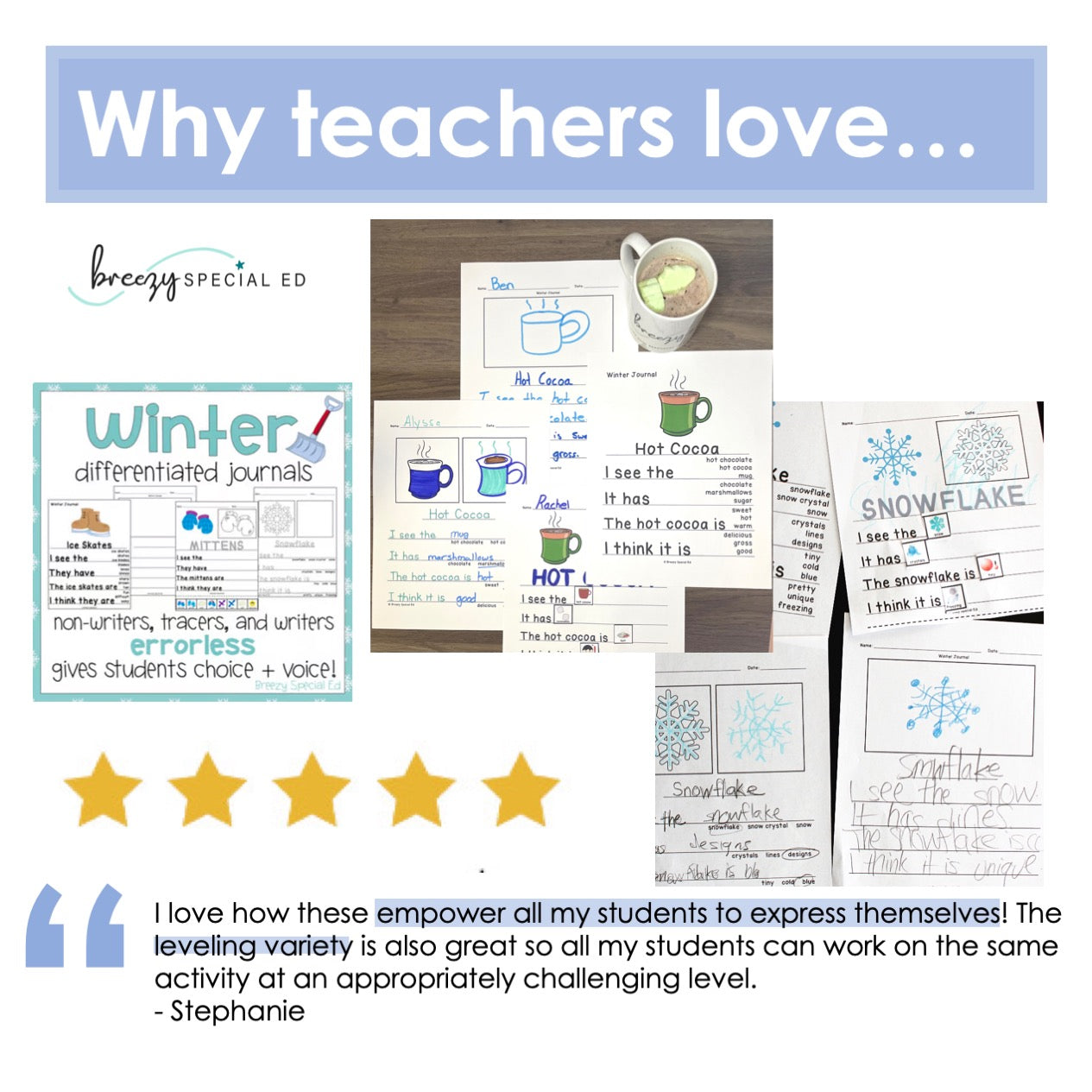 Winter Differentiated Errorless Journals for Special Education
