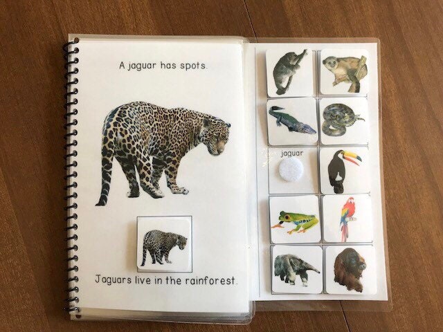 Animal Habitats Adapted Books for Special Education - Fully Prepped