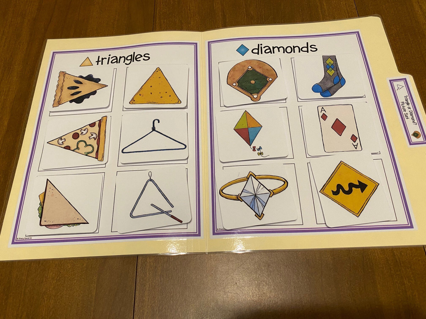Shape File Folders 2D and 3D - Great for Early Ed or Special Education (11pk) - Fully Prepped