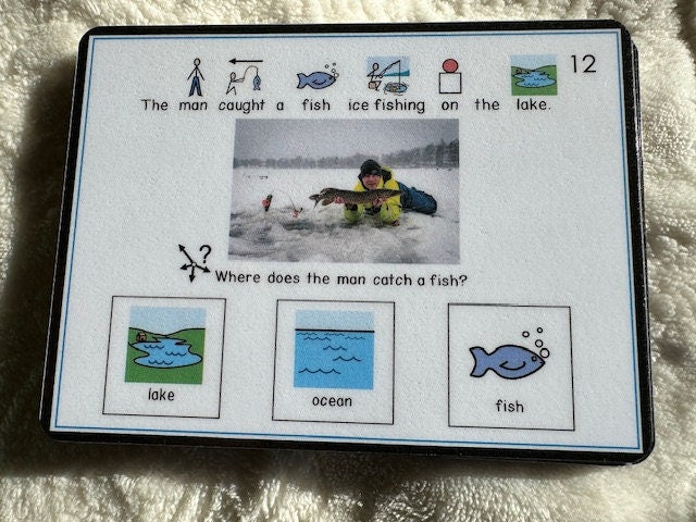 WH Questions Winter task cards for autism and special education Fully Prepped