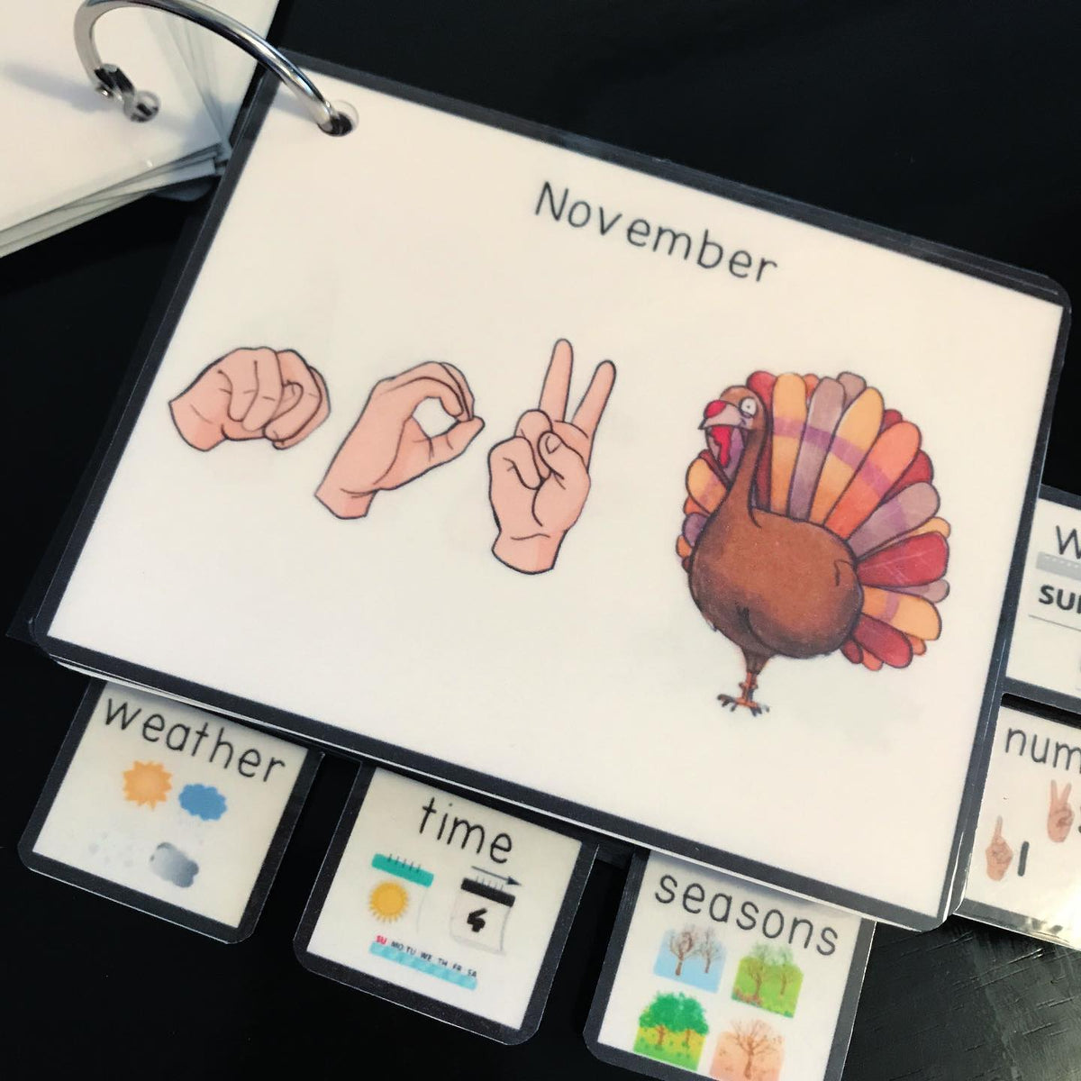 ASL (Sign Language) Visual Calendar Time Flashcard Dictionary Breezy