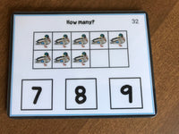 Counting up to 10 Visual Task Cards (Autism and Special Education) 2 sets of 40 cards - Fully Prepped