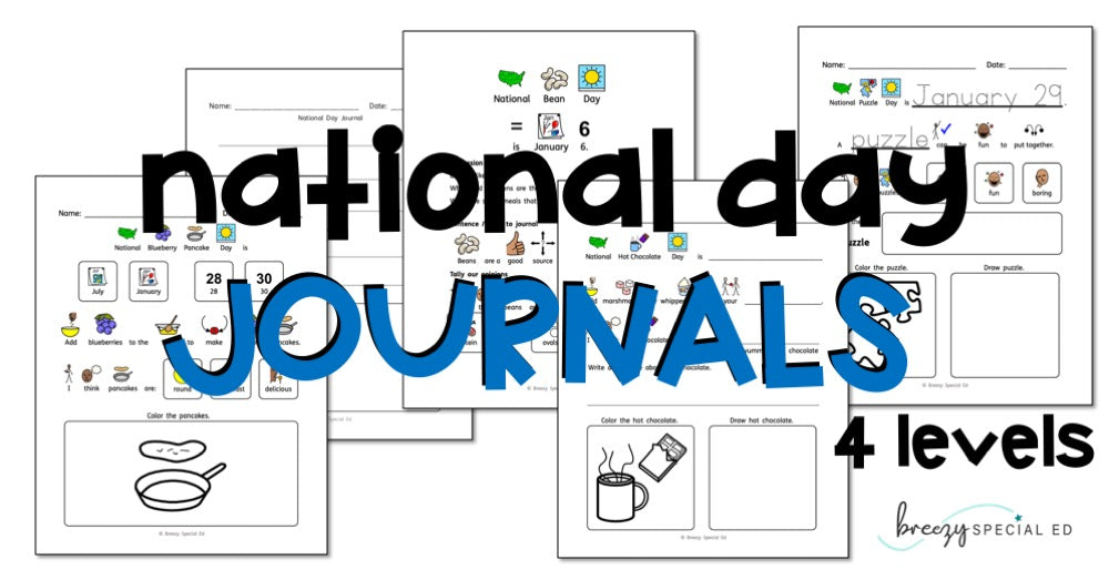 Differentiated Morning Activity | National Day Journals in Special Education