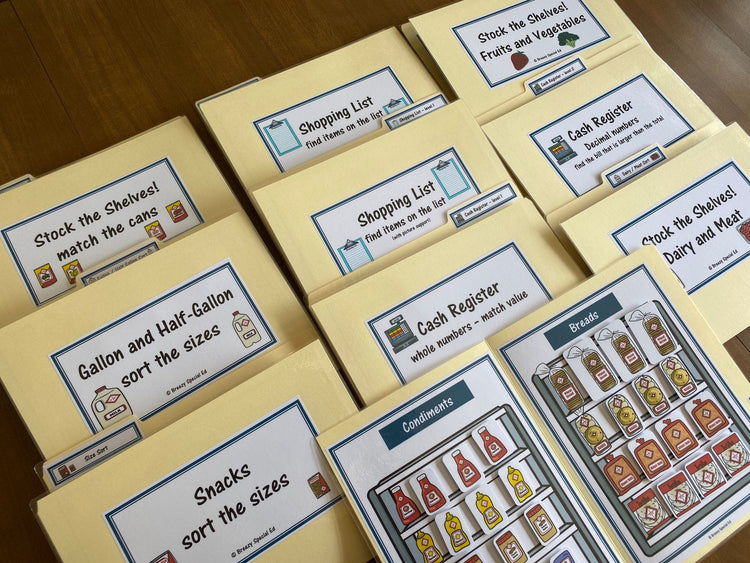 File Folder Activities for Special Education and Independent Work