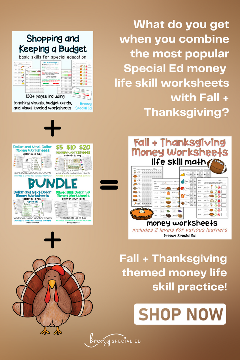 Fall and Thanksgiving Life Skill Money Math + Budget Worksheets for Sp ...