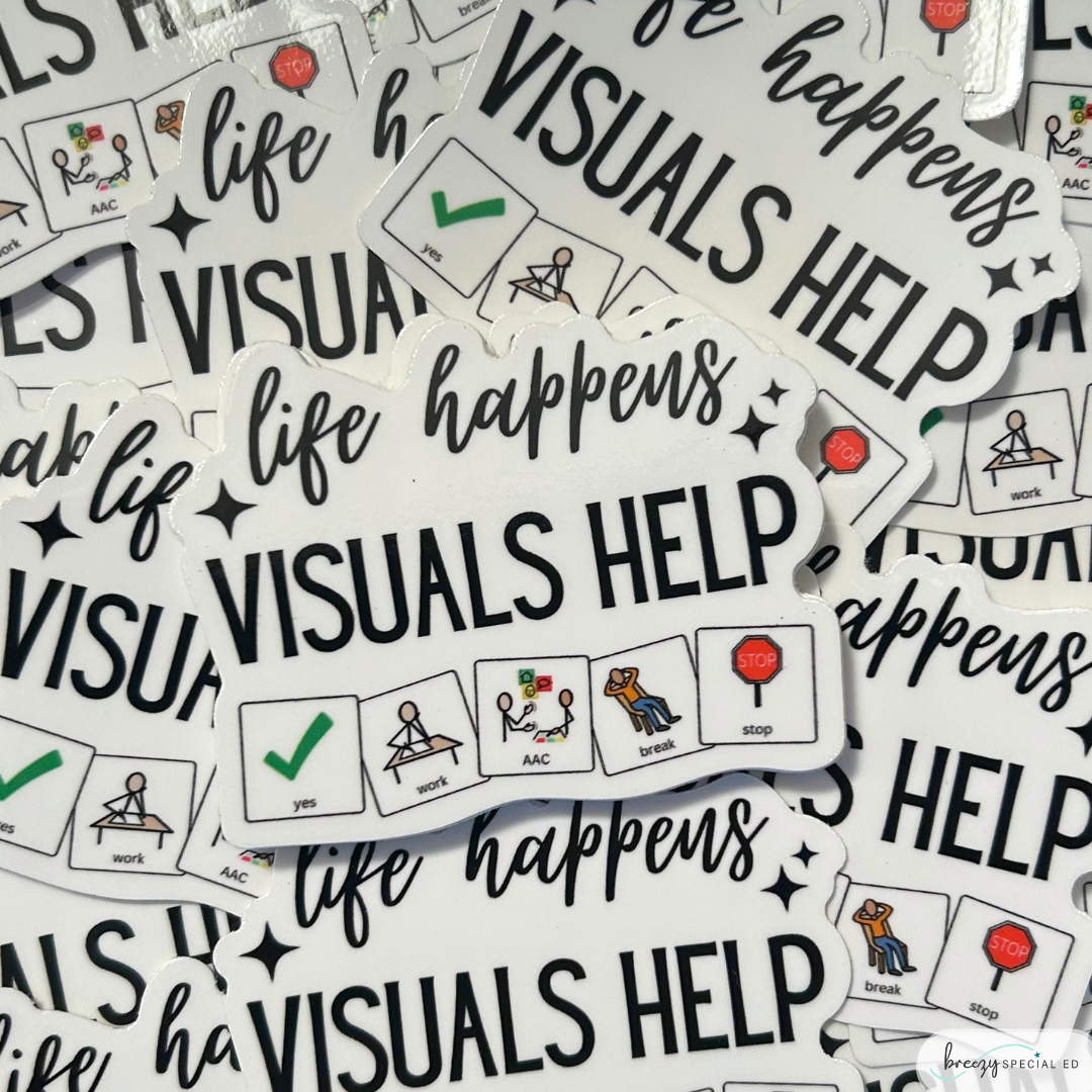 Special Education Teacher Die Cut Sticker Bundle of 3 (2nd Bundle)