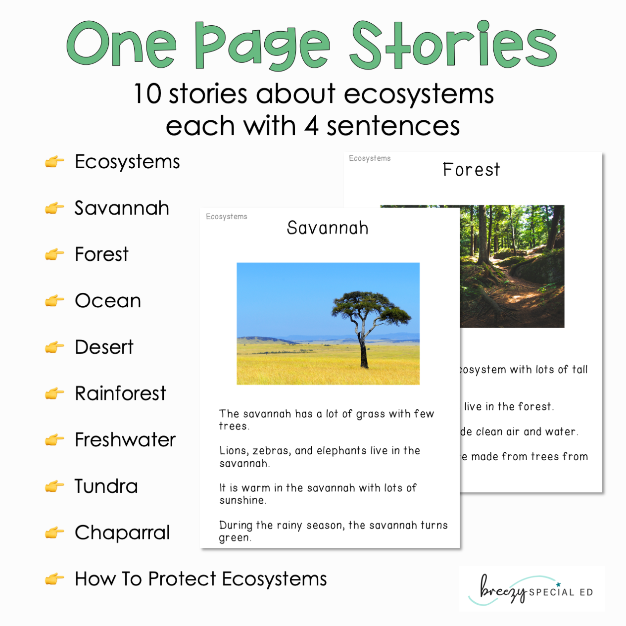 Ecosystems - Easy Reading Comprehension for Special Education
