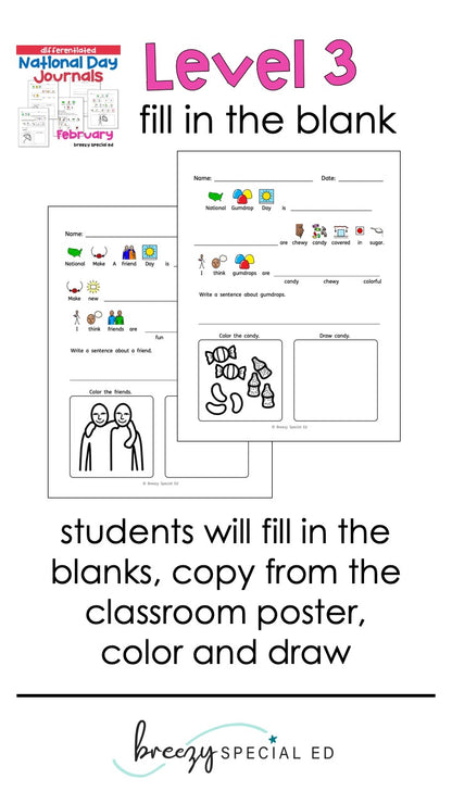 National Days February Differentiated Journals for special education