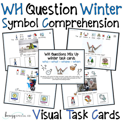 WH Questions Winter task cards for autism and special education