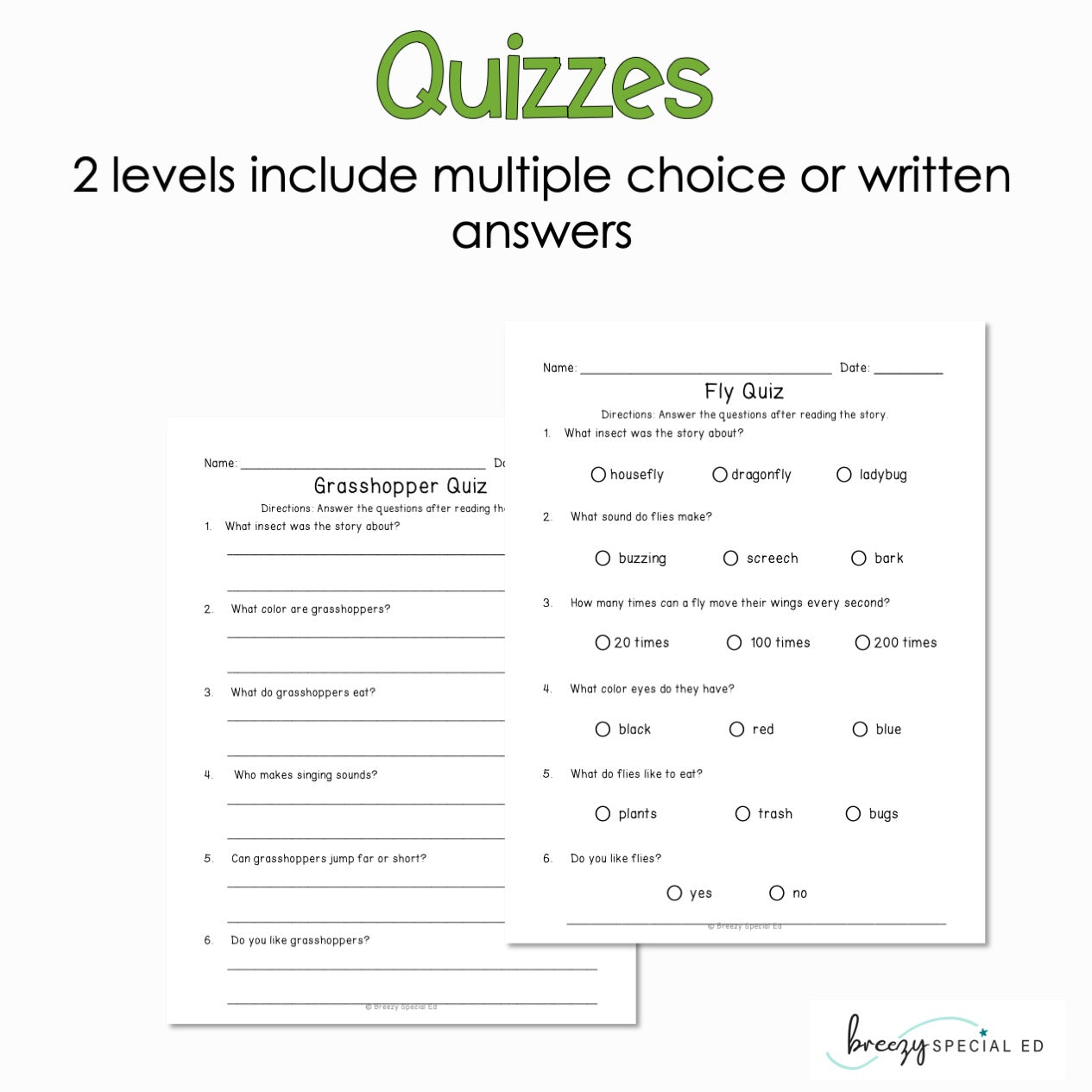 Insects - Easy Reading Comprehension for Special Education