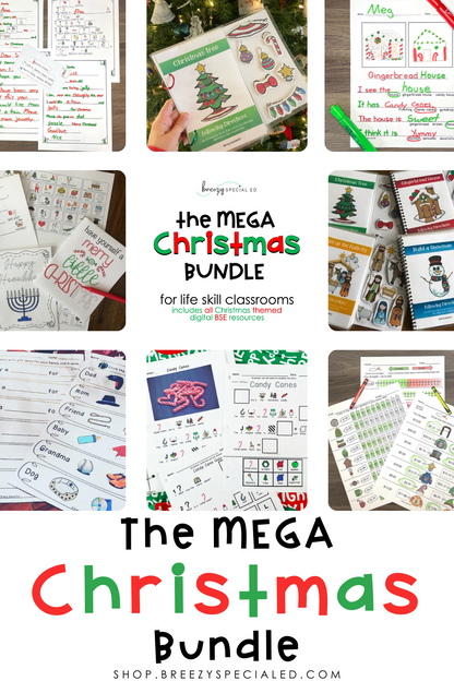 The Mega Christmas Bundle for Special Education