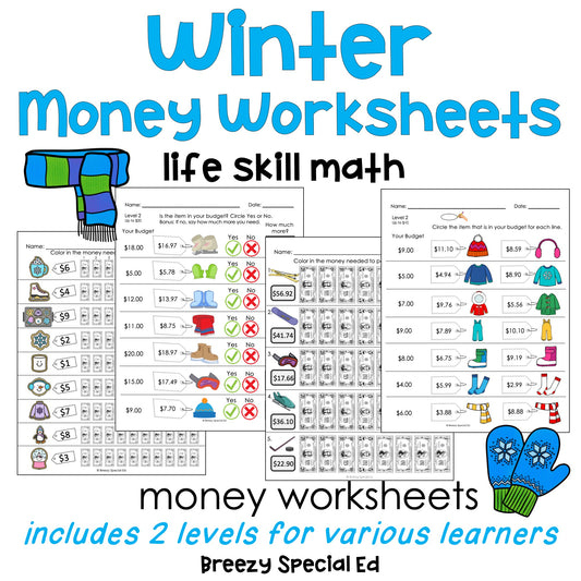 Winter Life Skill Money Math + Budget Worksheets for Special Education