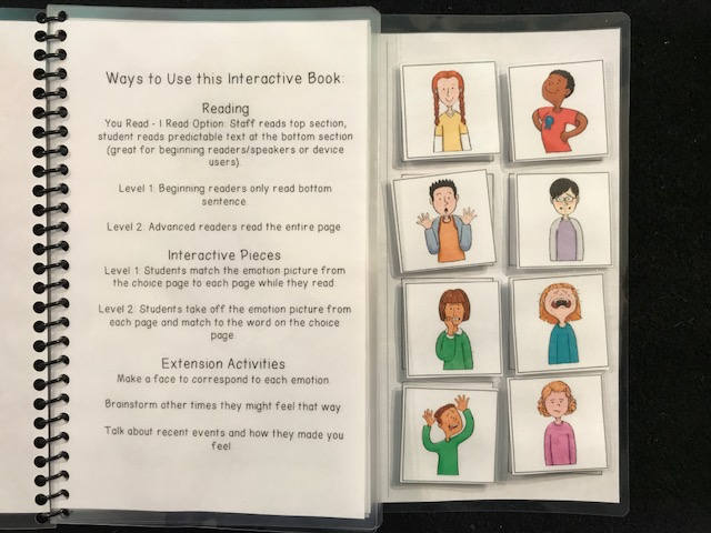Feelings Adapted Books for Special Education / Autism - Fully Prepped
