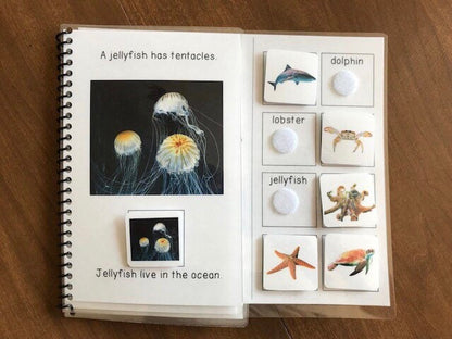 Animal Habitats Adapted Books for Special Education - Fully Prepped