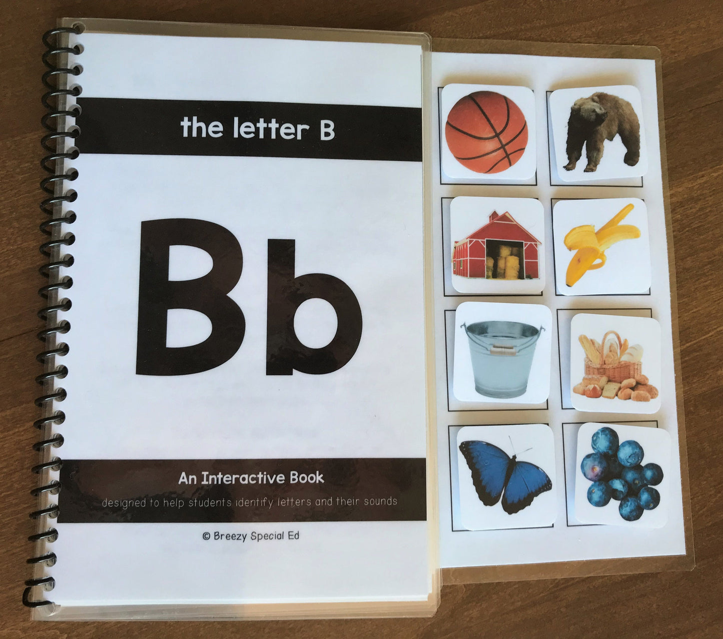 Alphabet REAL PICTURE Adapted Books Bundle (29 pk) - Fully Prepped