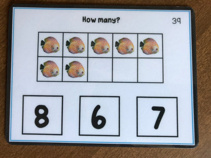 Counting up to 10 Visual Task Cards (Autism and Special Education) 2 sets of 40 cards