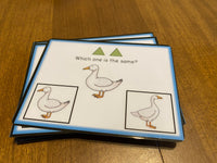Same or Different Visual Task Cards (Special Ed)