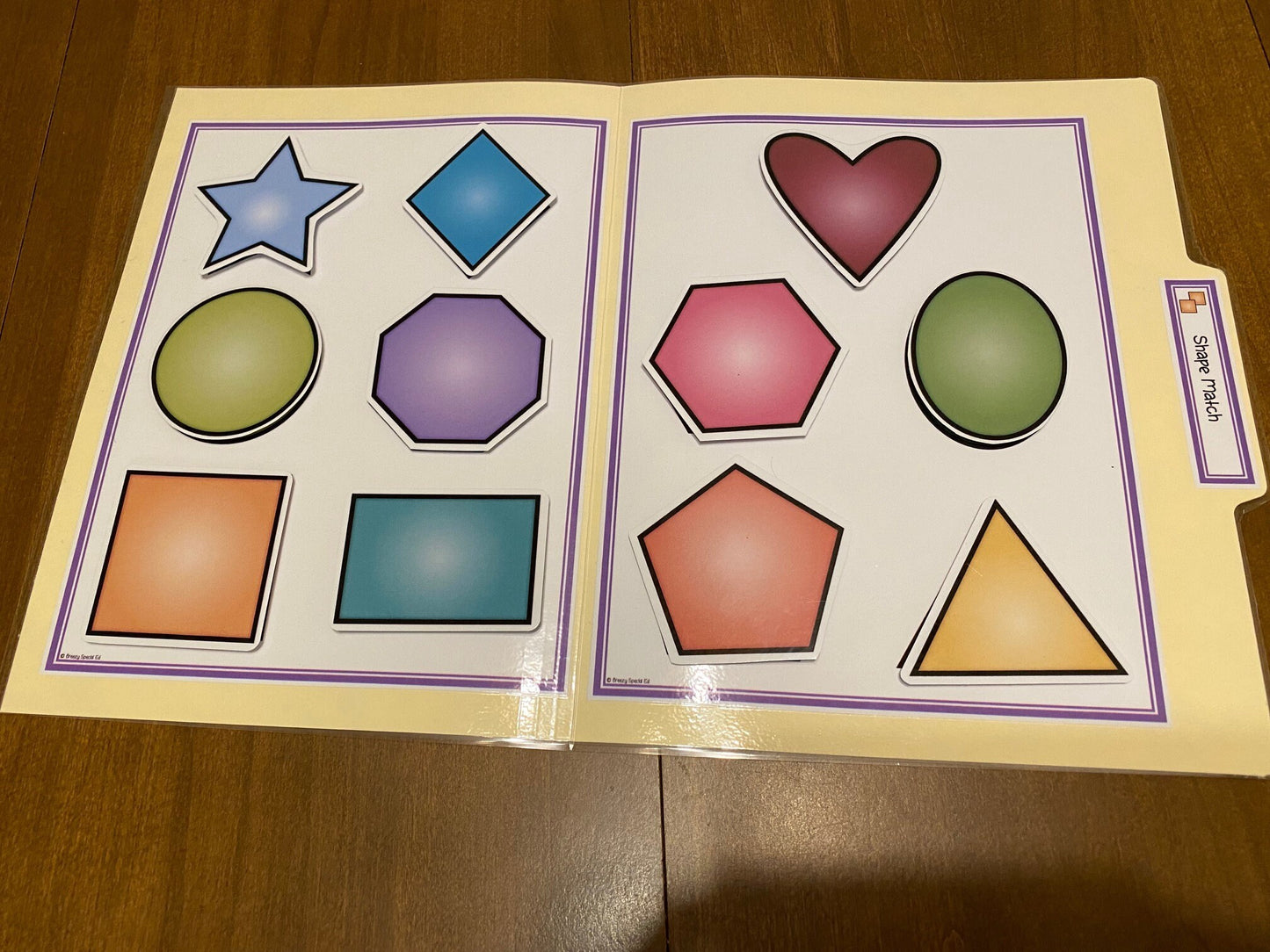 Shape File Folders 2D and 3D - Great for Early Ed or Special Education (11pk) - Fully Prepped