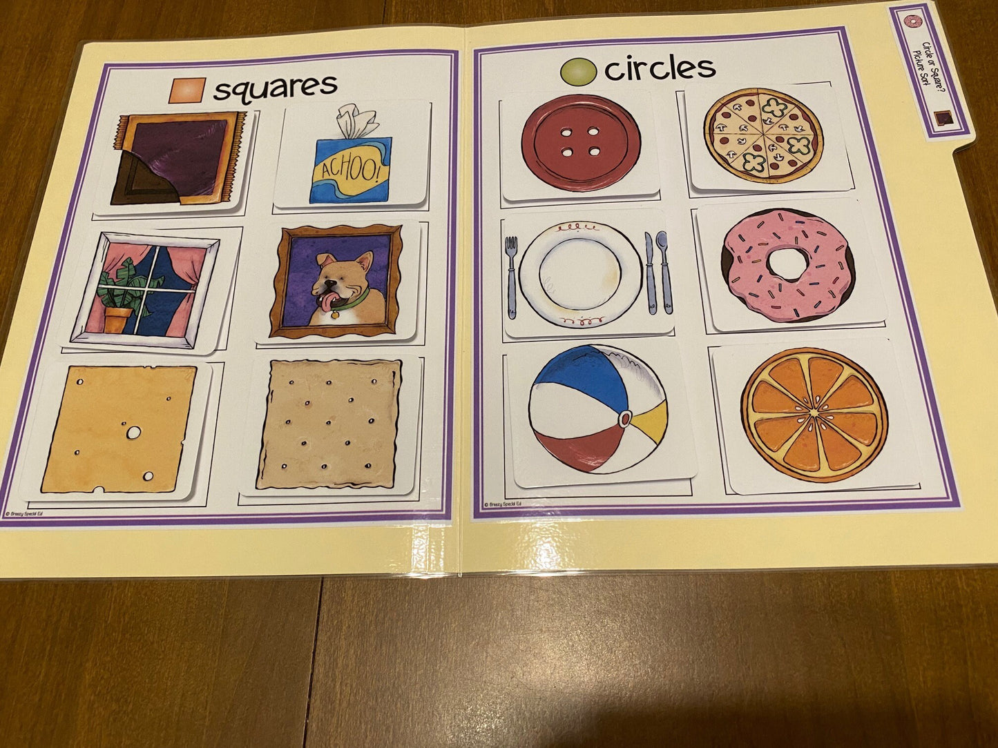 Shape File Folders 2D and 3D - Great for Early Ed or Special Education (11pk) - Fully Prepped