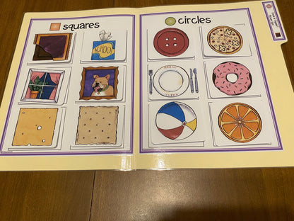 Shape File Folders 2D and 3D - Great for Early Ed or Special Education (11pk) - Fully Prepped
