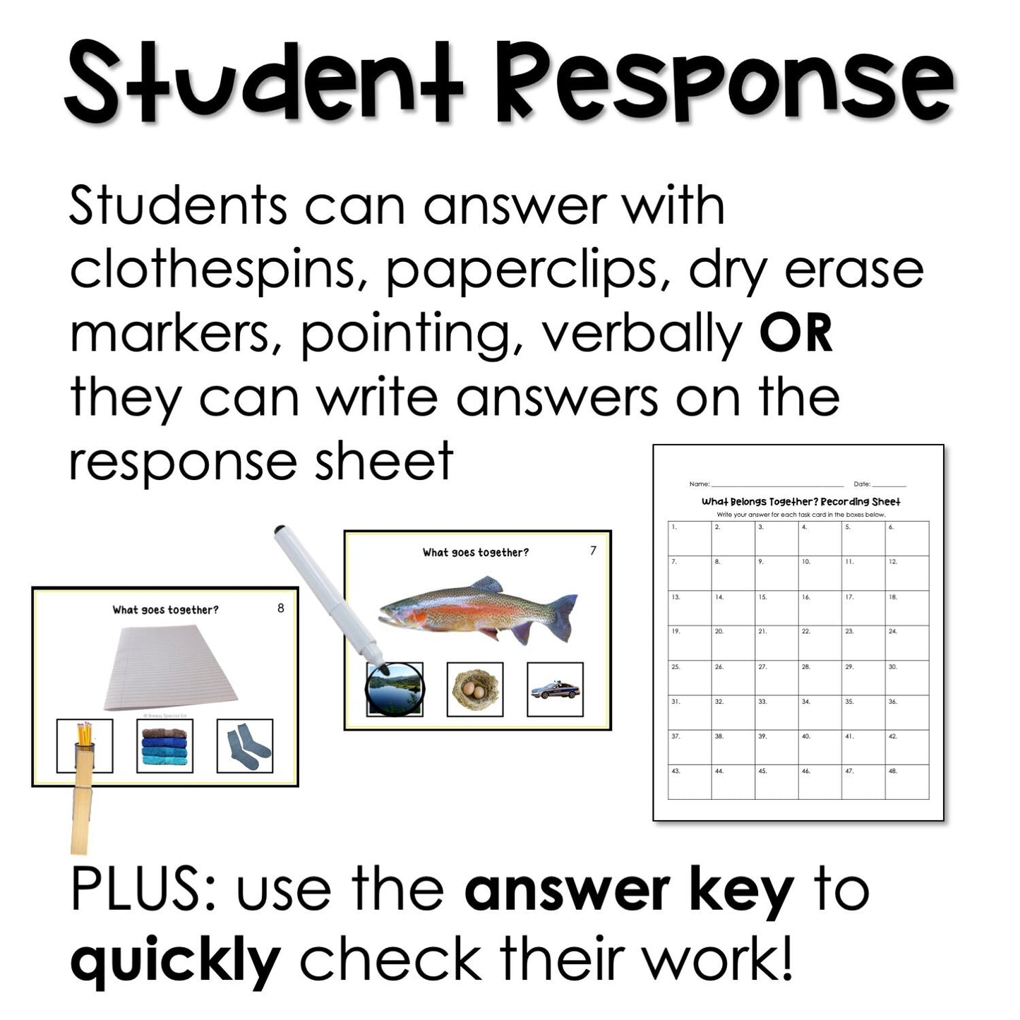 What Belongs Together? Associations task cards for autism and special education