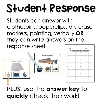 What Belongs Together? Associations task cards for autism and special education