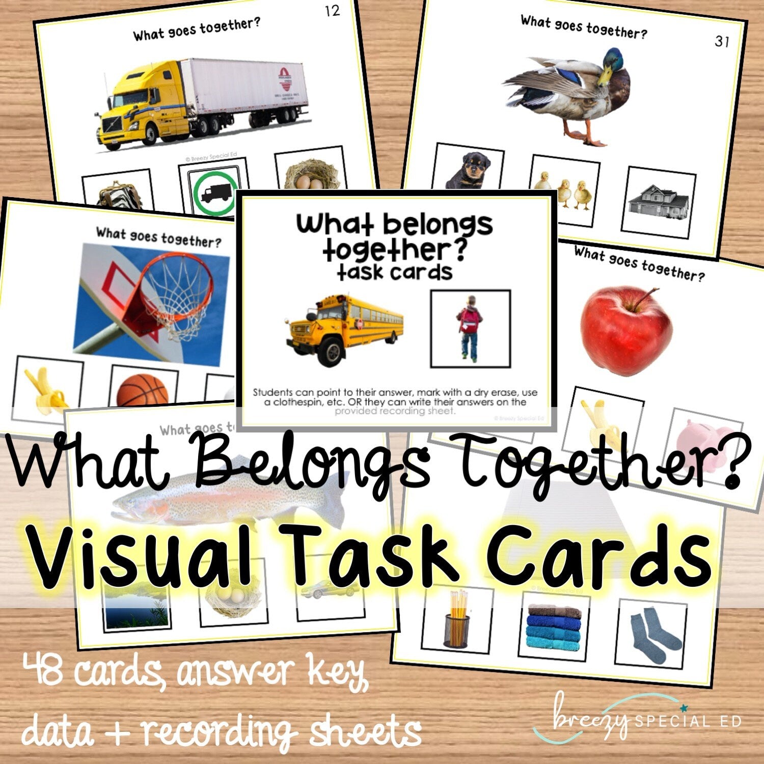 What Belongs Together? Associations task cards for autism and special ...
