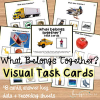 What Belongs Together? Associations task cards for autism and special education