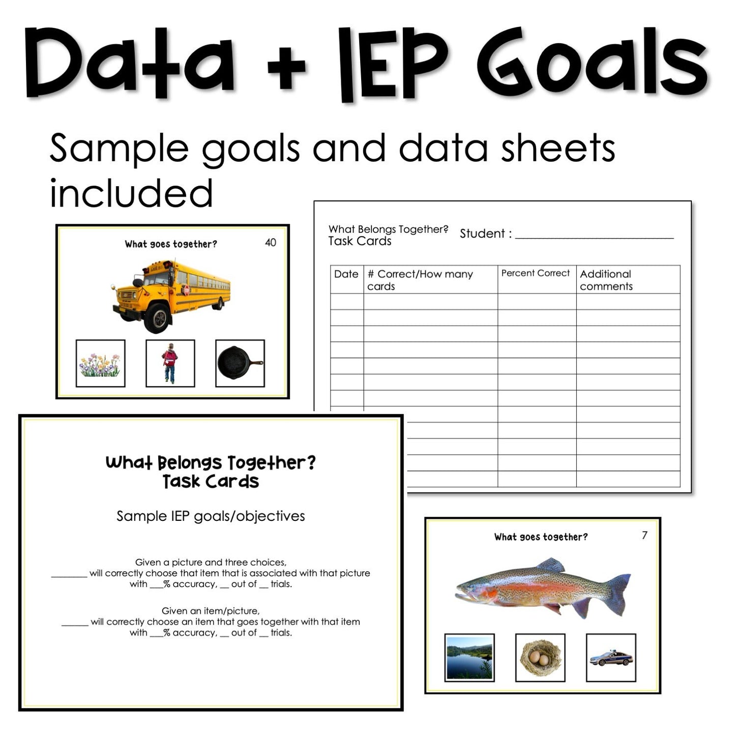 What Belongs Together? Associations task cards for autism and special education