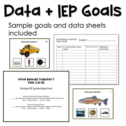 What Belongs Together? Associations task cards for autism and special education