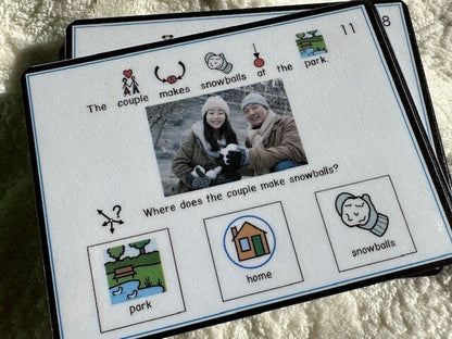 Winter/Christmas Wh task card questions "Bundle" for autism and special education - Fully Prepped
