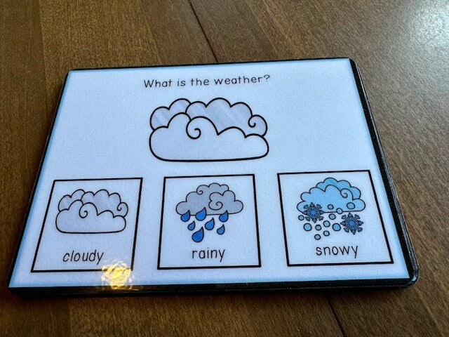Weather Task Box What is the Weather? Visual Task Cards (Special Education) 60 pc ...