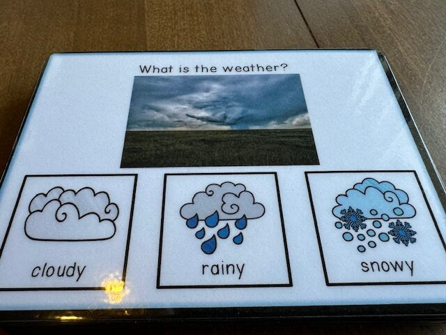 Weather Task Box What is the Weather? Visual Task Cards (Special Education) 60 pc ...