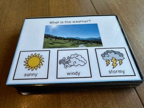 Daily Weather Visual What is the Weather? Visual Task Cards (Special Education) 60 pc ...