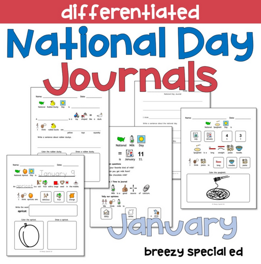 National Days January Differentiated Journals for special education