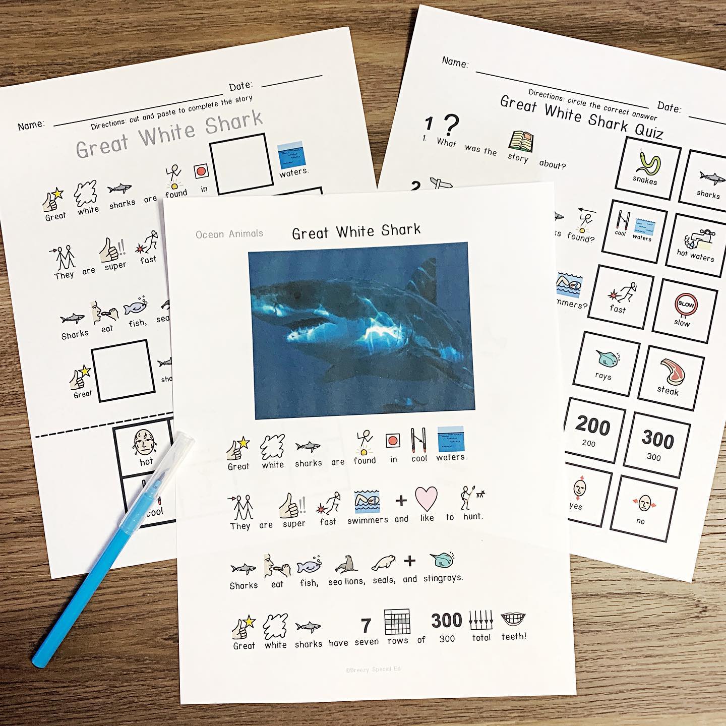 reading comprehension stories with symbols and activities for special education 