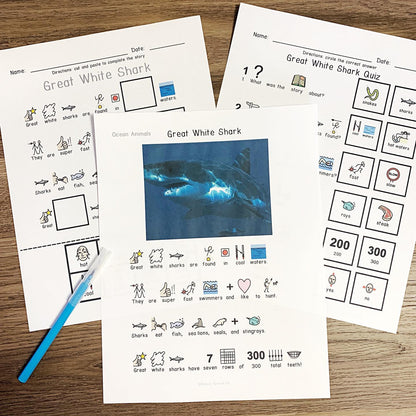reading comprehension stories with symbols and activities for special education 