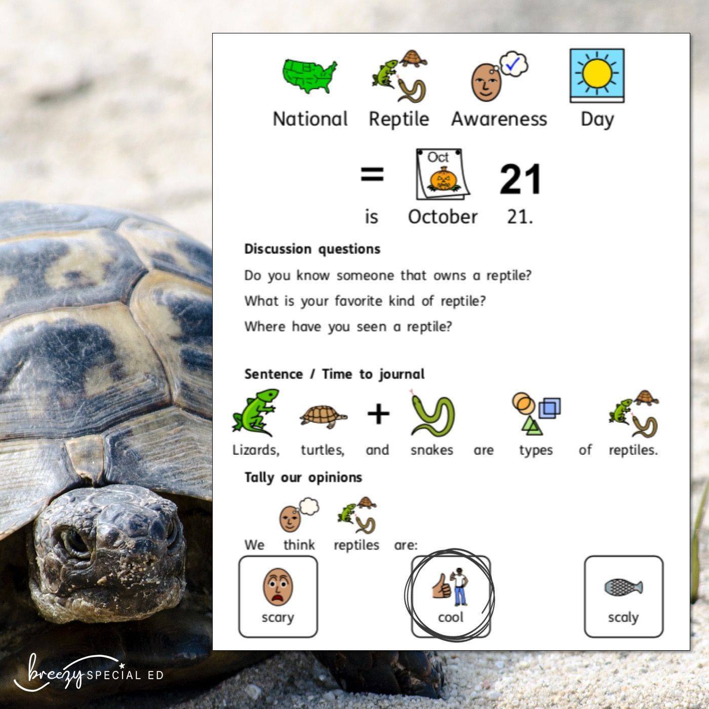 National Days October Differentiated Journals for special education