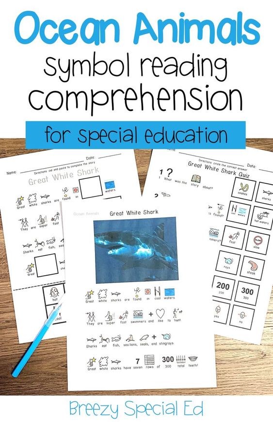 Ocean Animals Symbol Supported Reading Comprehension for Special Ed ...