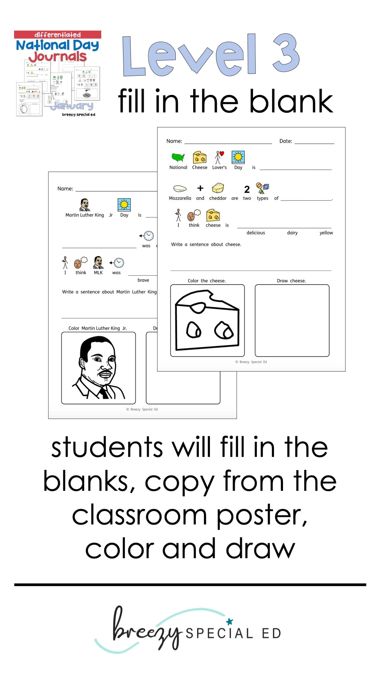 National Days January Differentiated Journals for special education