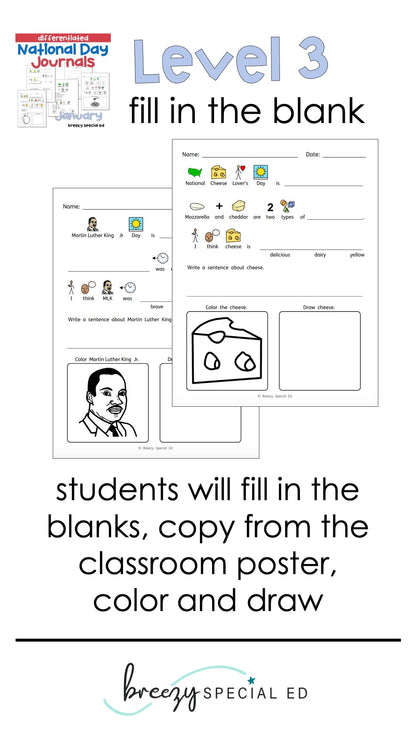 National Days January Differentiated Journals for special education