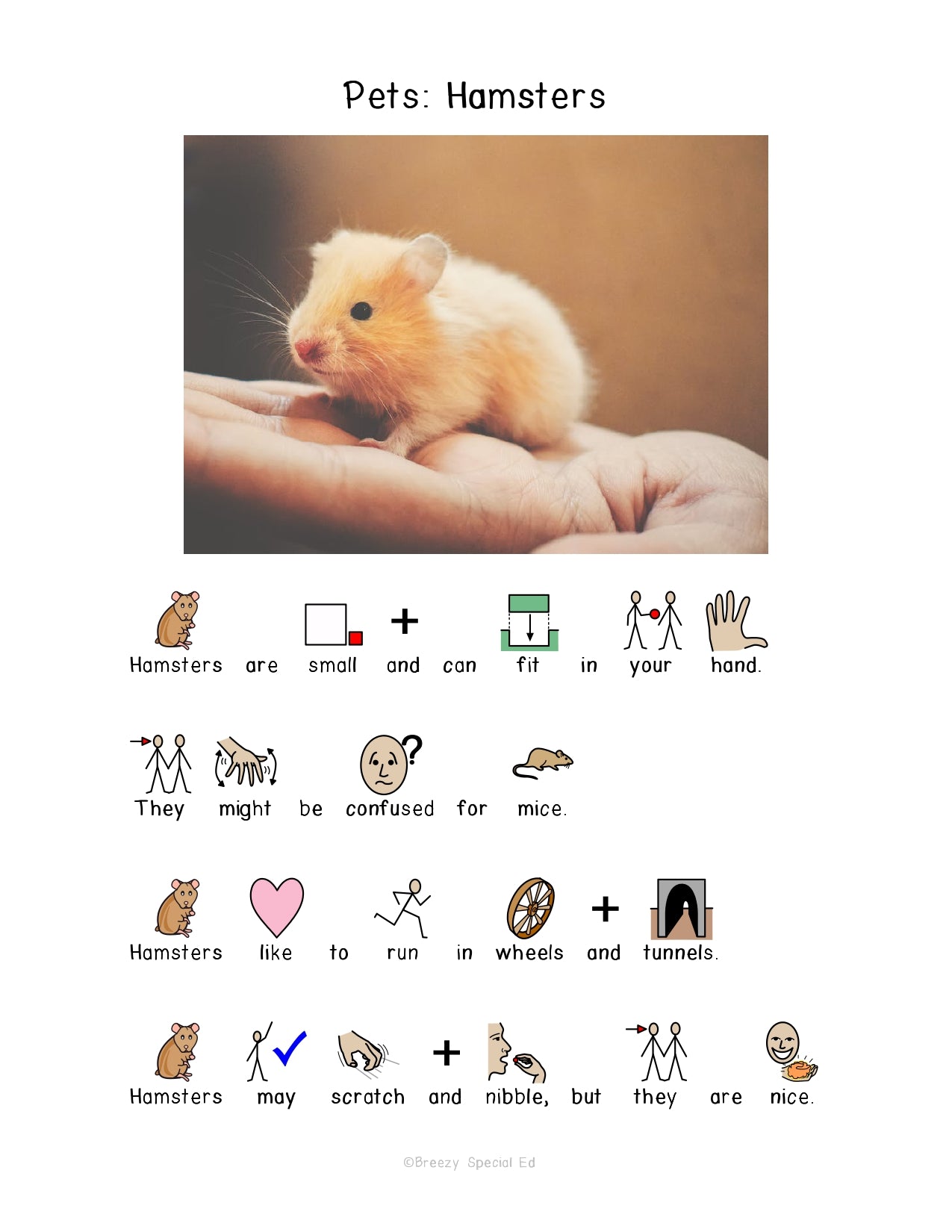 Pets - Symbol Supported Reading Comprehension for Special Ed