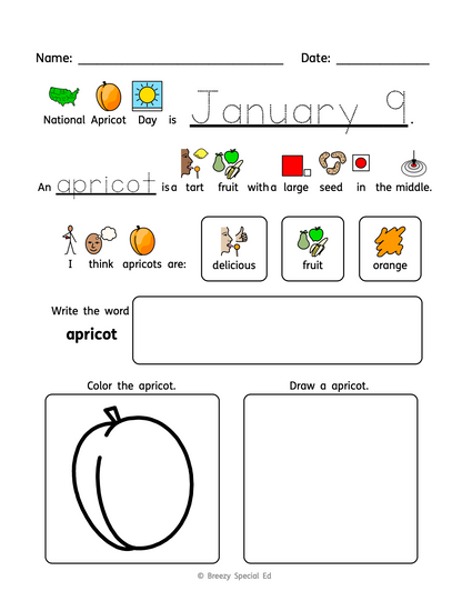 National Days January Differentiated Journals for special education