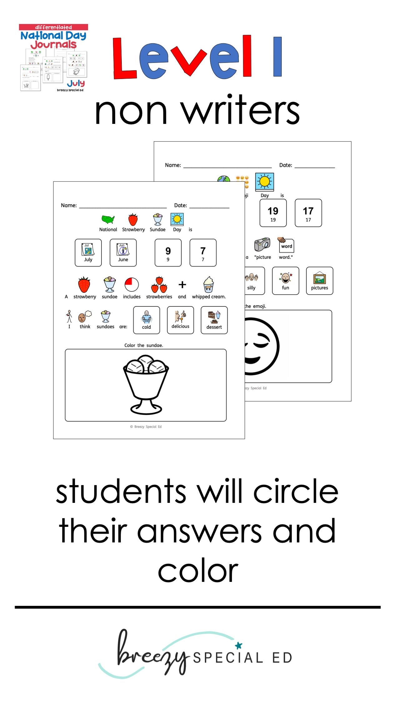National Days July Differentiated Journals for special education