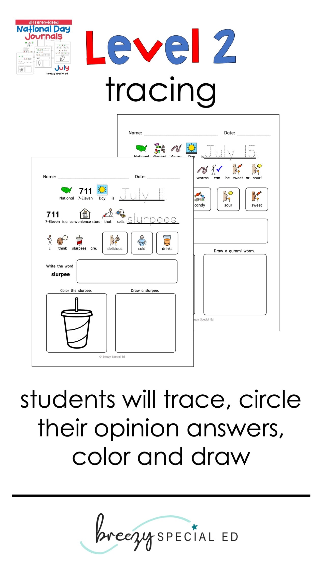 National Days July Differentiated Journals for special education