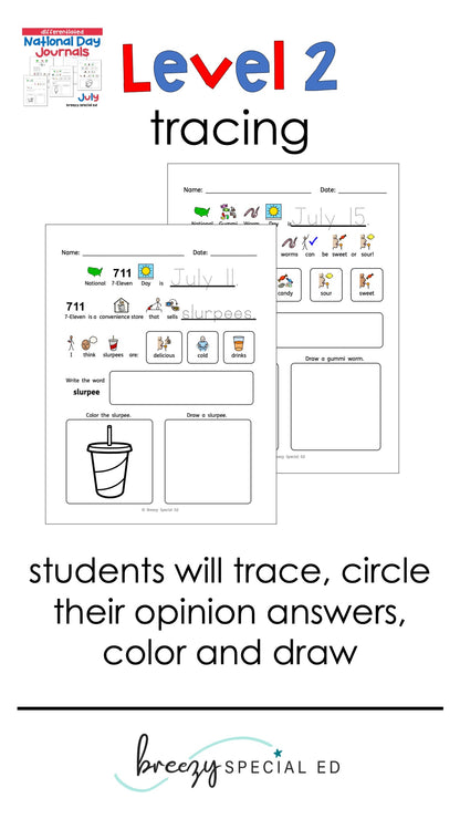 National Days July Differentiated Journals for special education