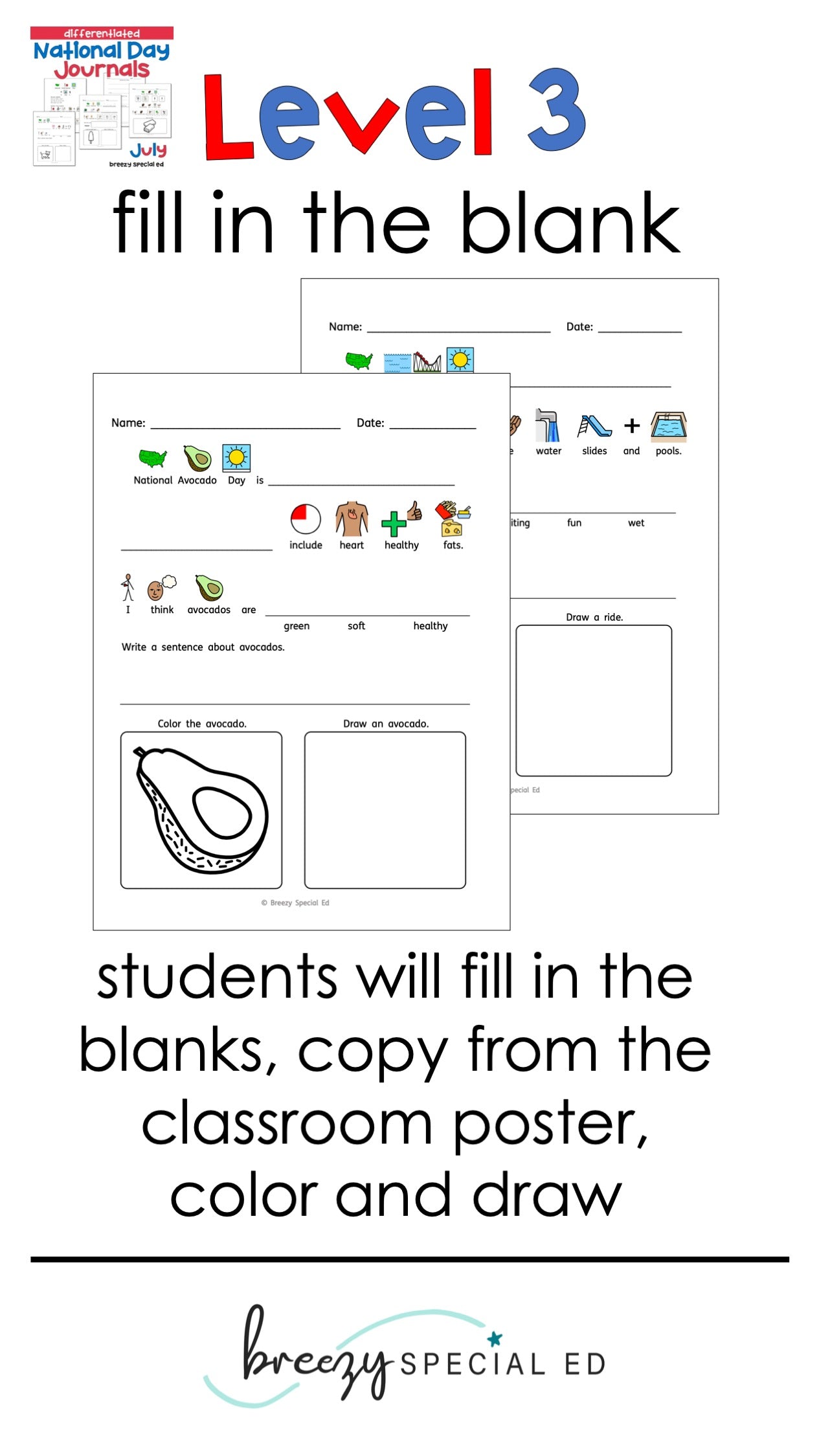 National Days July Differentiated Journals for special education