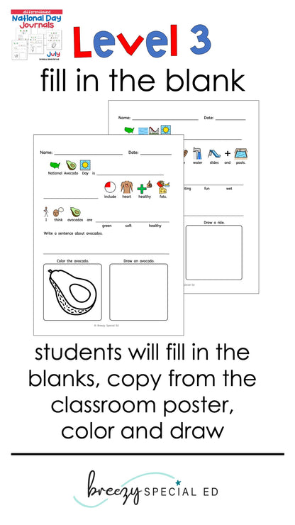 National Days July Differentiated Journals for special education