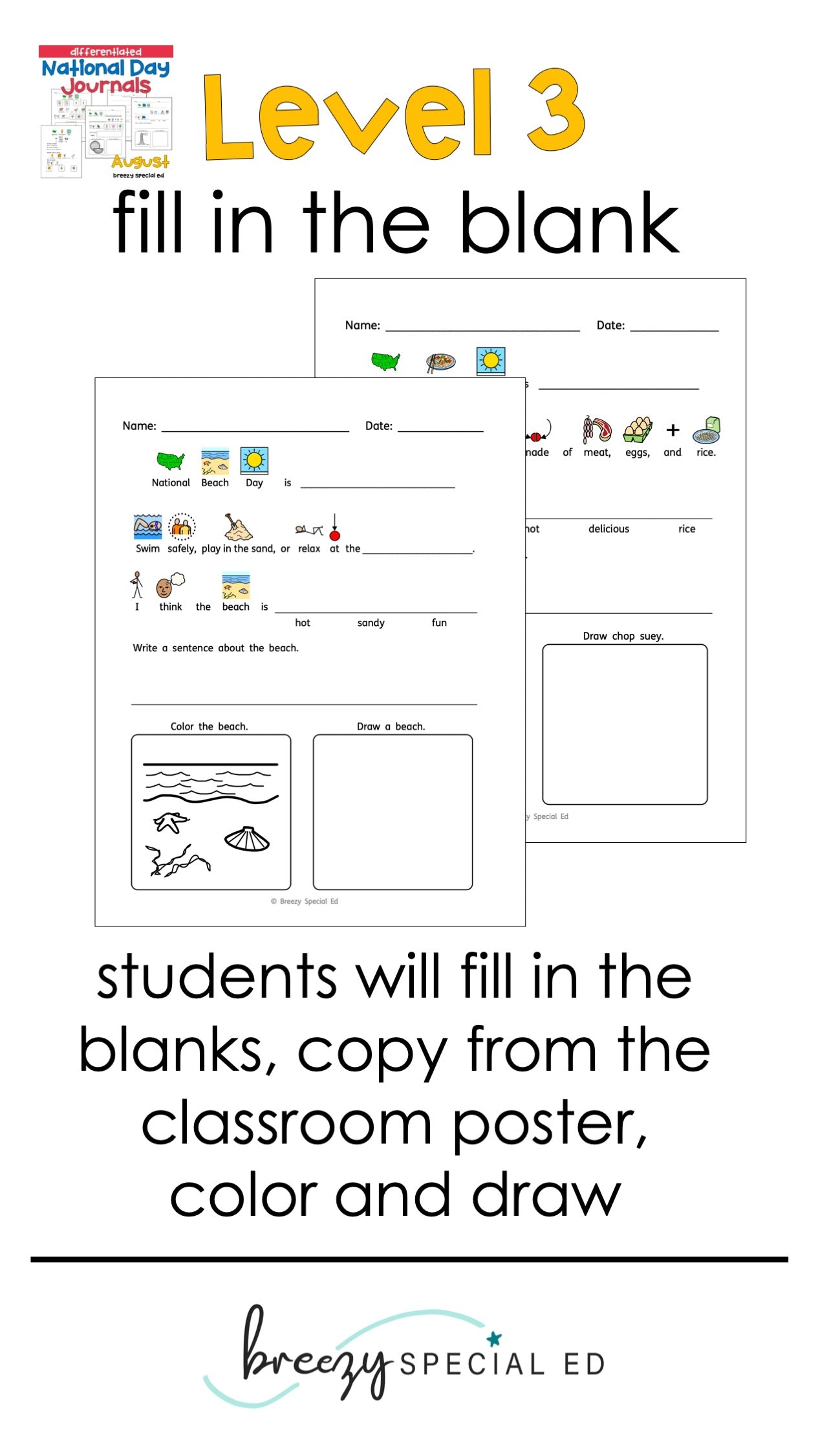 National Days August Differentiated Journals for special education