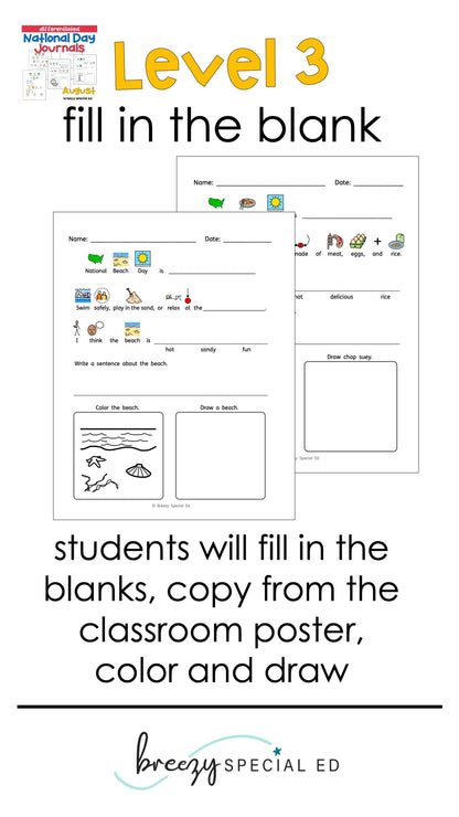 National Days August Differentiated Journals for special education